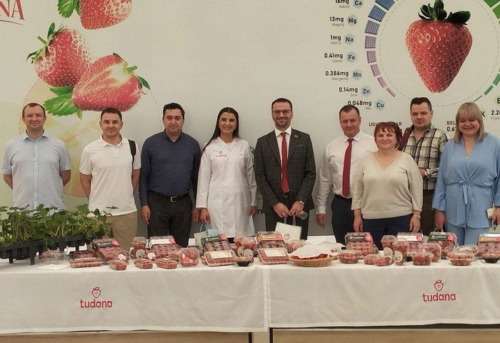 Fresh Turkmen Fruits and Vegetables to Hit Belarusian Market